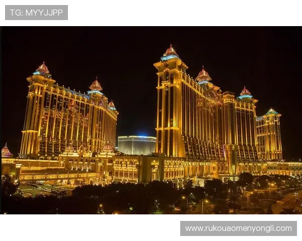 永利澳门app下载最新版本，安全稳定的博彩娱乐软件下载指南