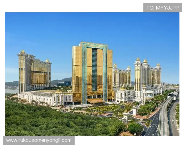 澳门永利娱乐城安全保障措施全面，确保每位宾客的隐私与财产安全