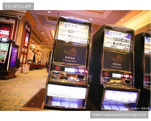 澳门十大博彩网站排名最新公布，详细分析各大平台的优势与特色