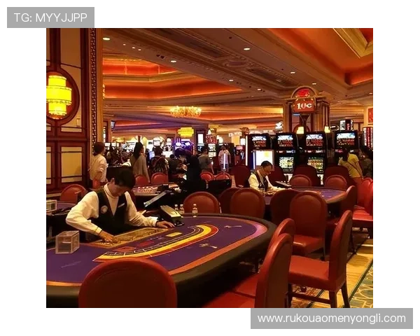 澳门有多家赌场，探索澳门博彩业的发展历史与未来趋势分析