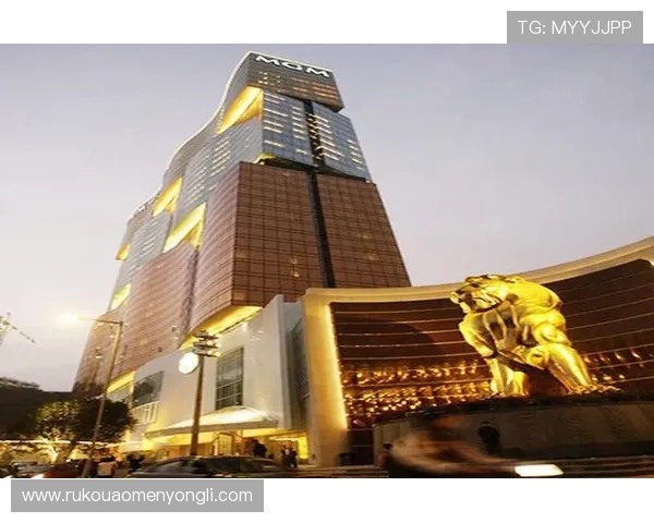 澳门美高梅的网址访问攻略，帮助新手快速找到官方入口享受丰富游戏娱乐体验