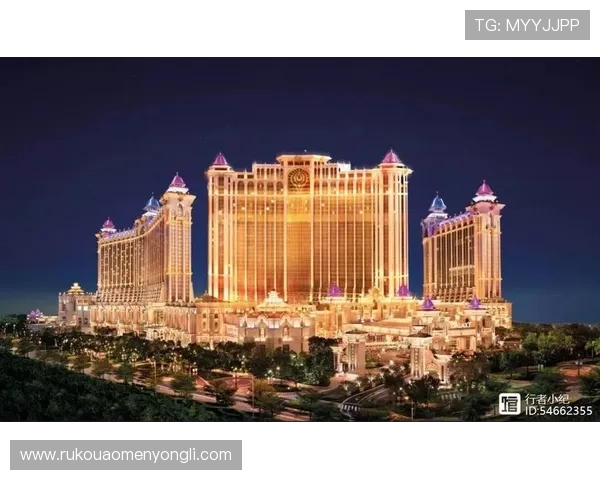 澳门贵宾厅业务在提升客户满意度方面的创新服务方案