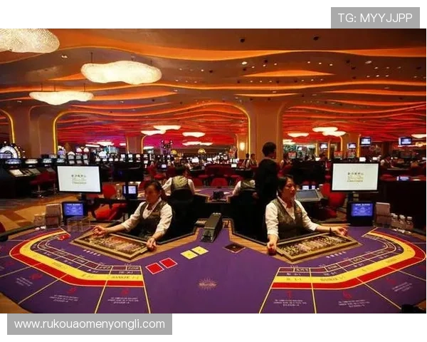 澳门豪赌客的法律风险与道德争议：豪赌行为引发的社会关注